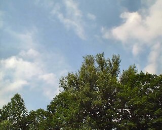 私の夏休み