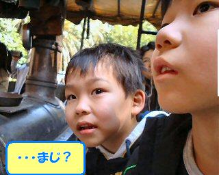 TDL