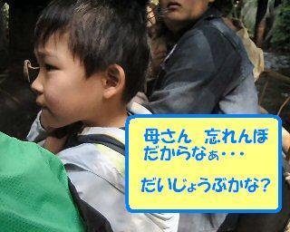 TDL