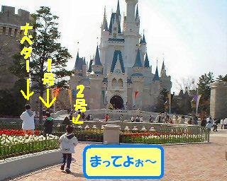TDL