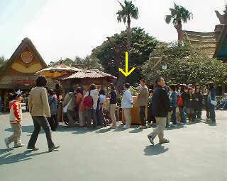 TDL
