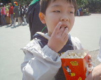 TDL