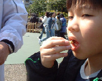 TDL