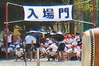 q[APTAl
