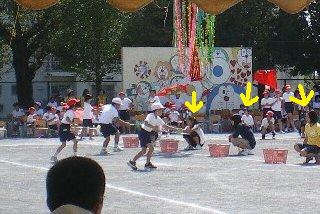 q[APTAl