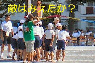 q[APTAl