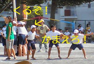 q[APTAl