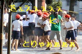q[APTAl
