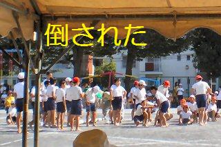 q[APTAl