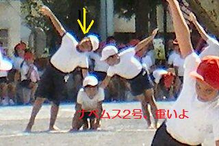 q[APTAl
