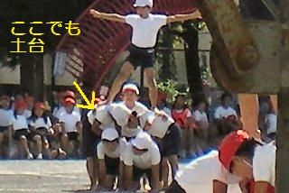 q[APTAl