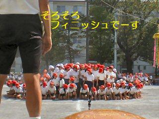 q[APTAl