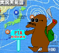 ショカッチ