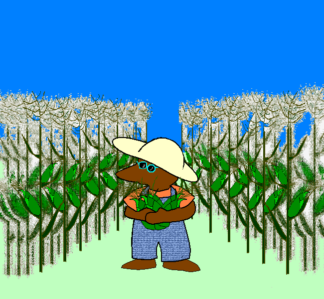 39.png(103629 byte)