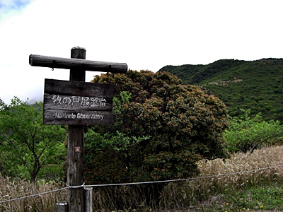 53.jpg(99523 byte)
