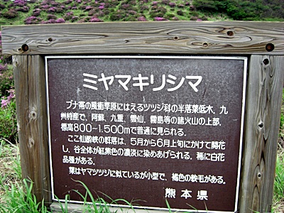 54.jpg(129895 byte)