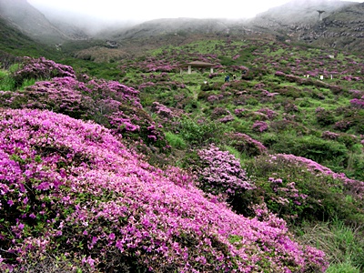 55.jpg(142553 byte)