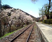 yamaturi_01s.jpg(16062 byte)