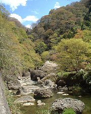 yamaturi_06s.jpg(25706 byte)